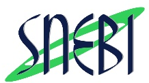 logo-snebi